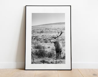 Minimalist Stag Print - Fine Art Photography Print - Peak District Photography - Stag Poster - Stag Wall Art - Modern - Rustic Homestyle