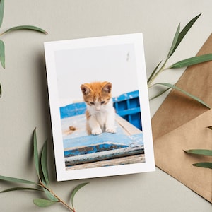 Carte de voeux chaton - carte de voeux - intérieur vierge - anniversaire - anniversaire - fête des mères - fête des pères - vacances - carte de voeux - chat