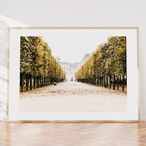 Jardim Royale - Paris Photography Print - Fine Art Photography - Paris Wall Art - Paris - Print - Poster - Paris Art Print - Landscape Print