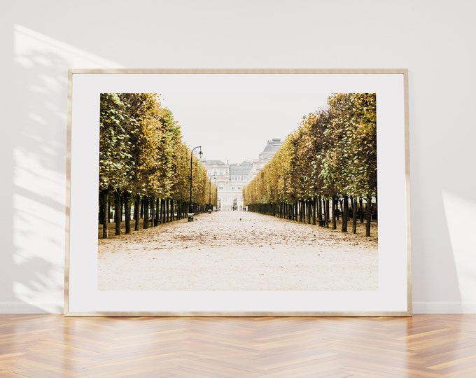 Jardim Royale - Paris Photography Print - Fine Art Photography - Paris Wall Art - Paris - Print - Poster - Paris Art Print - Landscape Print