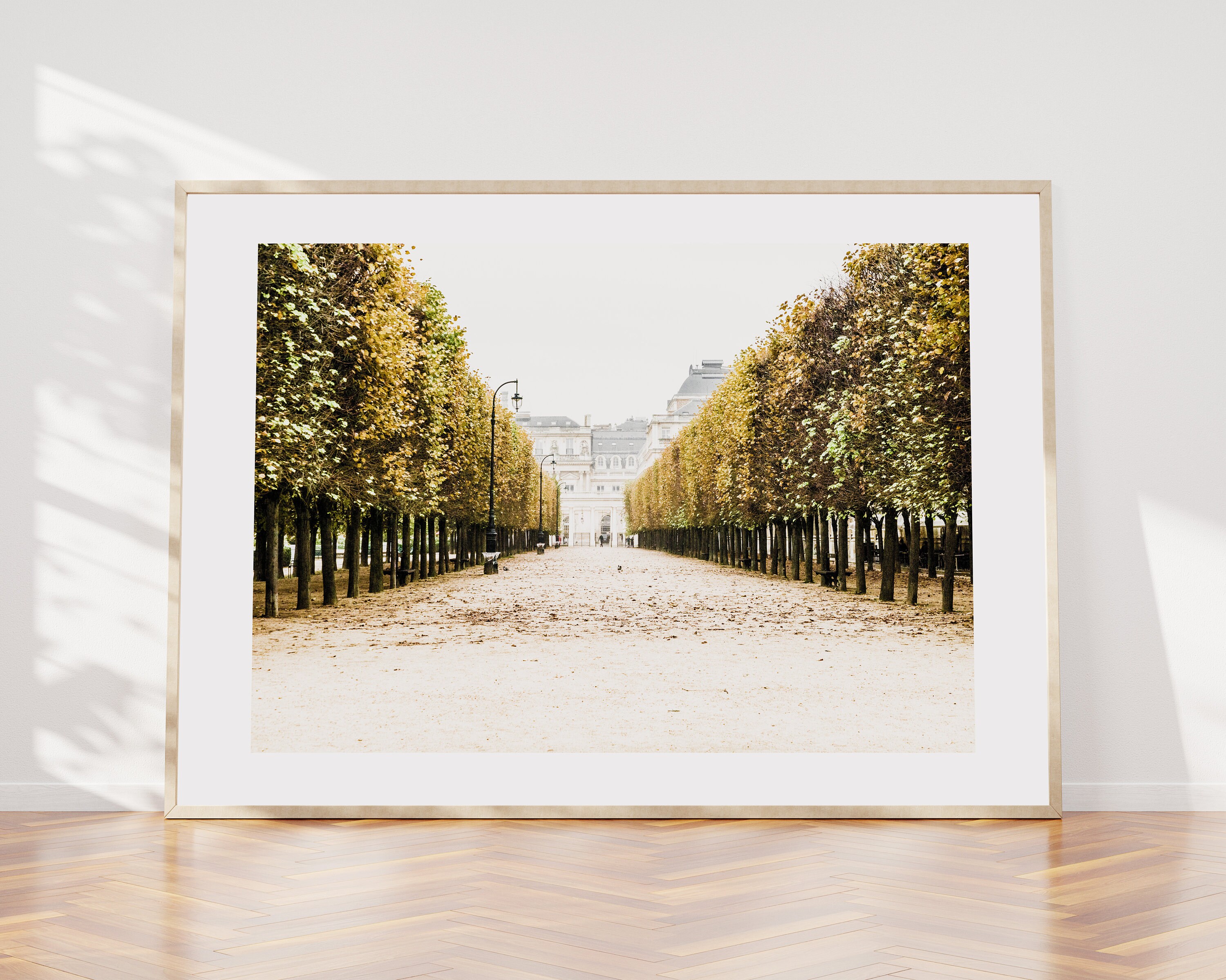 gallery photo