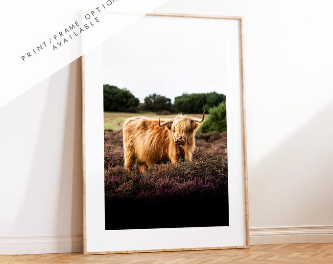 Highland Cow Photography Print - New Forest - Hampshire Photography Prints - Wall Art -  Frame and Canvas Options - Portrait  - UK