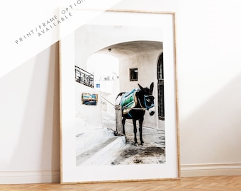 Donkey Print - Greece - Print - Poster - Santorini Photography - Greece Wall Art - Donkeys - Photography Print - Donkey Wall Art - Donkey