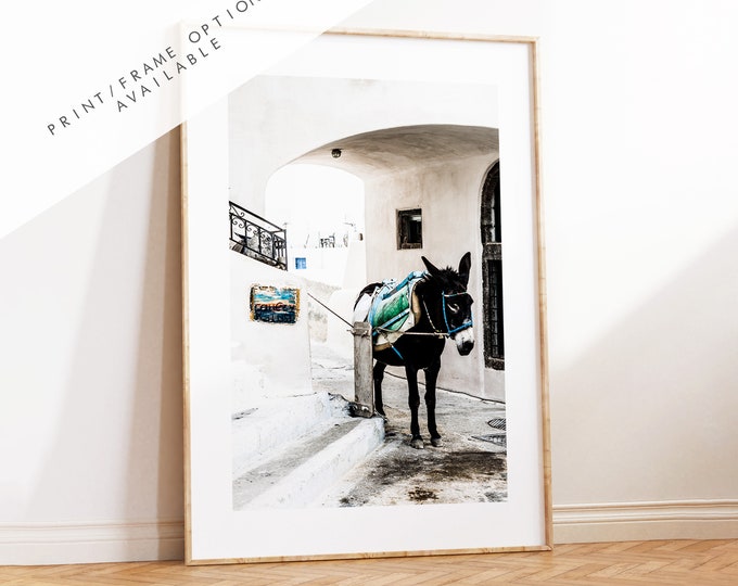 Donkey Print - Greece - Print - Poster - Santorini Photography - Greece Wall Art - Donkeys - Photography Print - Donkey Wall Art - Donkey