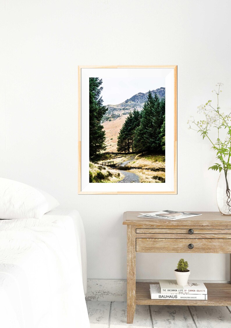 Forest Photography Forest Path Nature Photography 0088 Mountains Lake District Trees National Park Wanderlust Landscapes