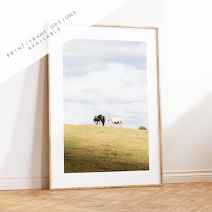 New Forest Pony Photography Print - Hampshire Photography Prints - Wall Art -  Frame and Canvas Options - Portrait  - UK