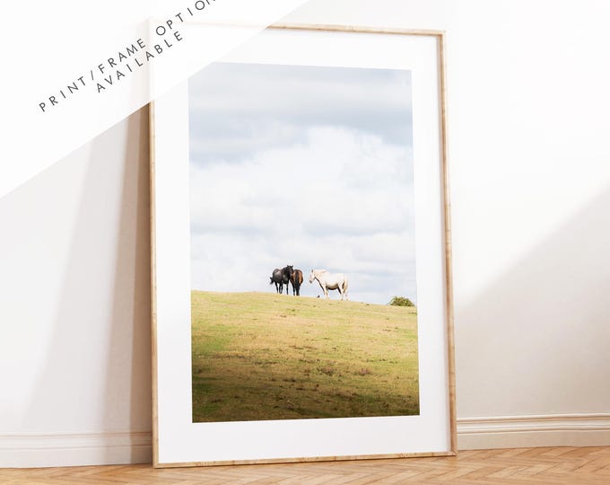 New Forest Pony Photography Print - Hampshire Photography Prints - Wall Art -  Frame and Canvas Options - Portrait  - UK
