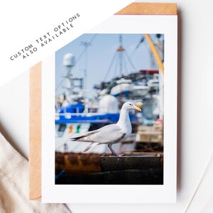 Tarjeta de felicitación de la gaviota de Portsmouth - Tarjetas de felicitación con fotografía de Portsmouth y Southsea - Sobre incluido - Cumpleaños - Boda - Aniversario