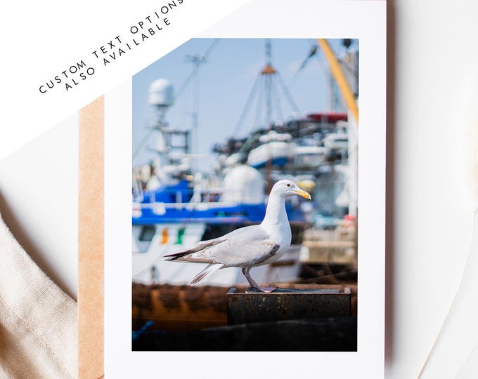 Portsmouth Seagull Greeting Card - Portsmouth and Southsea Photography Greeting Cards - Envelope Included - Birthday - Wedding - Anniversary