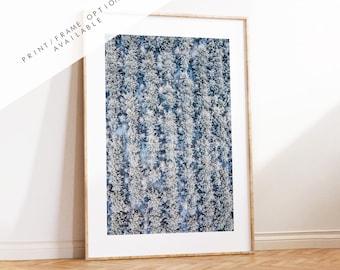 Black Beach Landscape