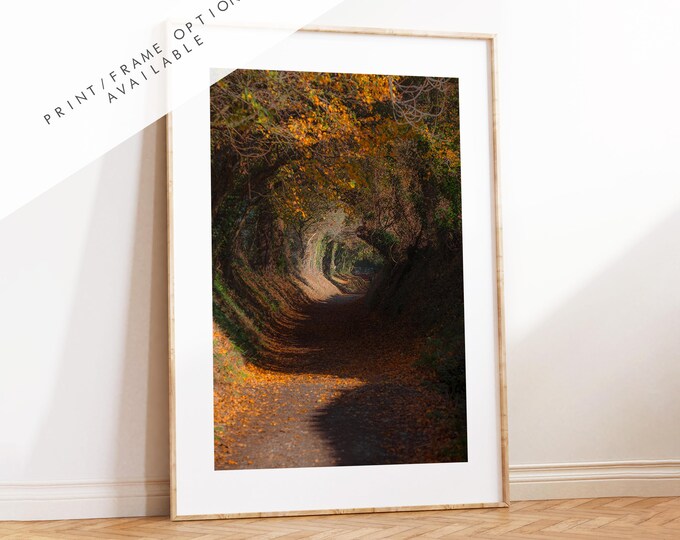 Halnaker Tree Tunnel Photography Print - West Sussex Photography Prints - Wall Art -  Frame and Canvas Options - Portrait  - UK