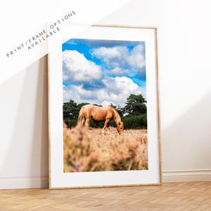 New Forest Pony Photography Print - Hampshire Photography Prints - Wall Art -  Frame and Canvas Options - Portrait  - UK