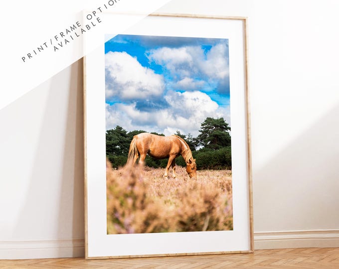 New Forest Pony Photography Print - Hampshire Photography Prints - Wall Art -  Frame and Canvas Options - Portrait  - UK