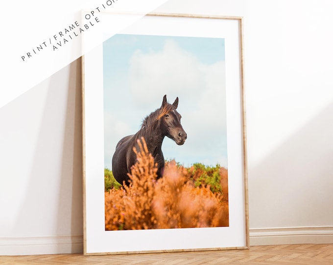 Horse Photography Print - New Forest - Hampshire Photography Prints - Wall Art -  Frame and Canvas Options - Portrait  - UK