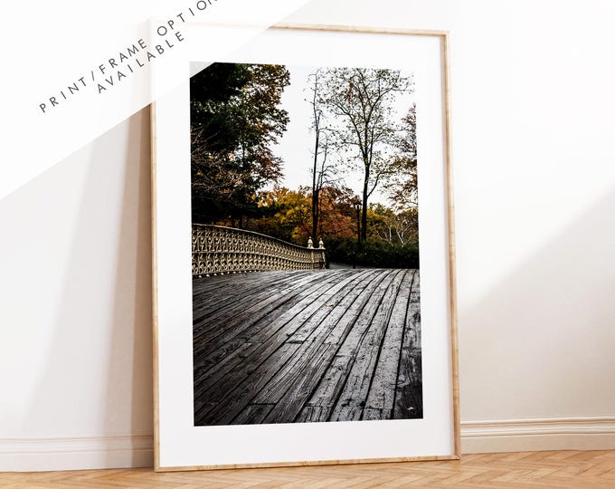 Central Park Print - New York City Photography Print - Central Park Bridge - Central Park Autumn - Fall - New York Poster - Trees - Wall Art