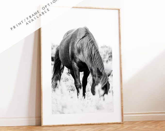 Horse Black and White Photography Print - New Forest - Hampshire Photography Prints - Wall Art -  Frame and Canvas Options - Portrait  - UK