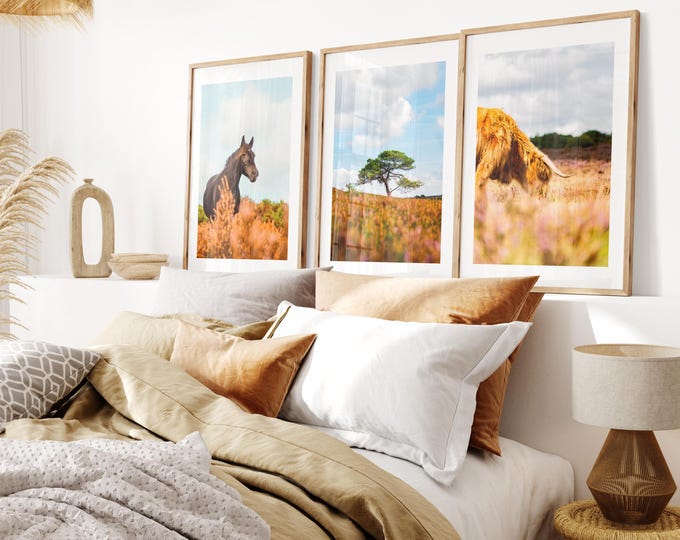 New Forest Print Set x3 - Prints or Framed Prints - Print Set of Three - New Forest Photography Prints - Hampshire Photography