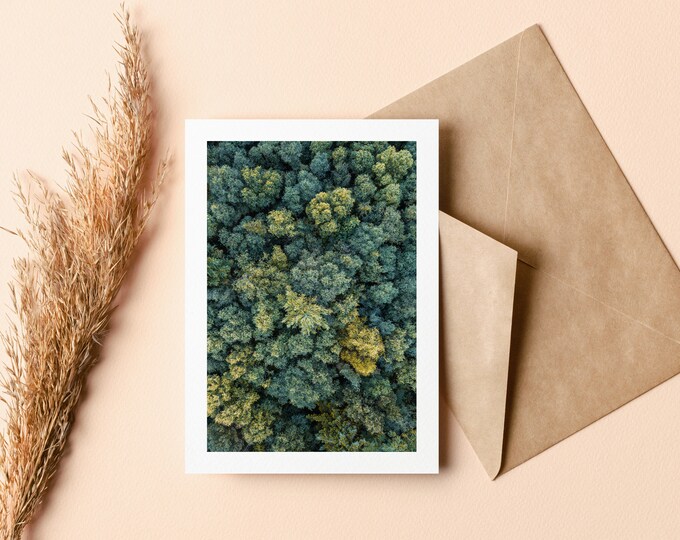 Forest Greeting Card - Greeting Card - Blank Inside - Birthday - Anniversary - Mothers Day - Fathers Day - Holiday - Blank Card - Trees