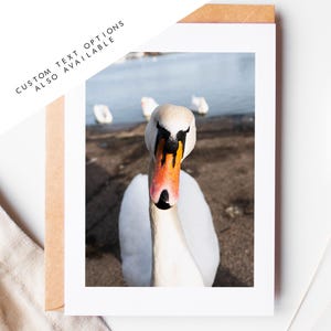 Tarjeta de felicitación de Canoe Lake - Tarjetas de felicitación de fotografía de Portsmouth y Southsea - Sobre incluido - Cumpleaños - Boda - Aniversario