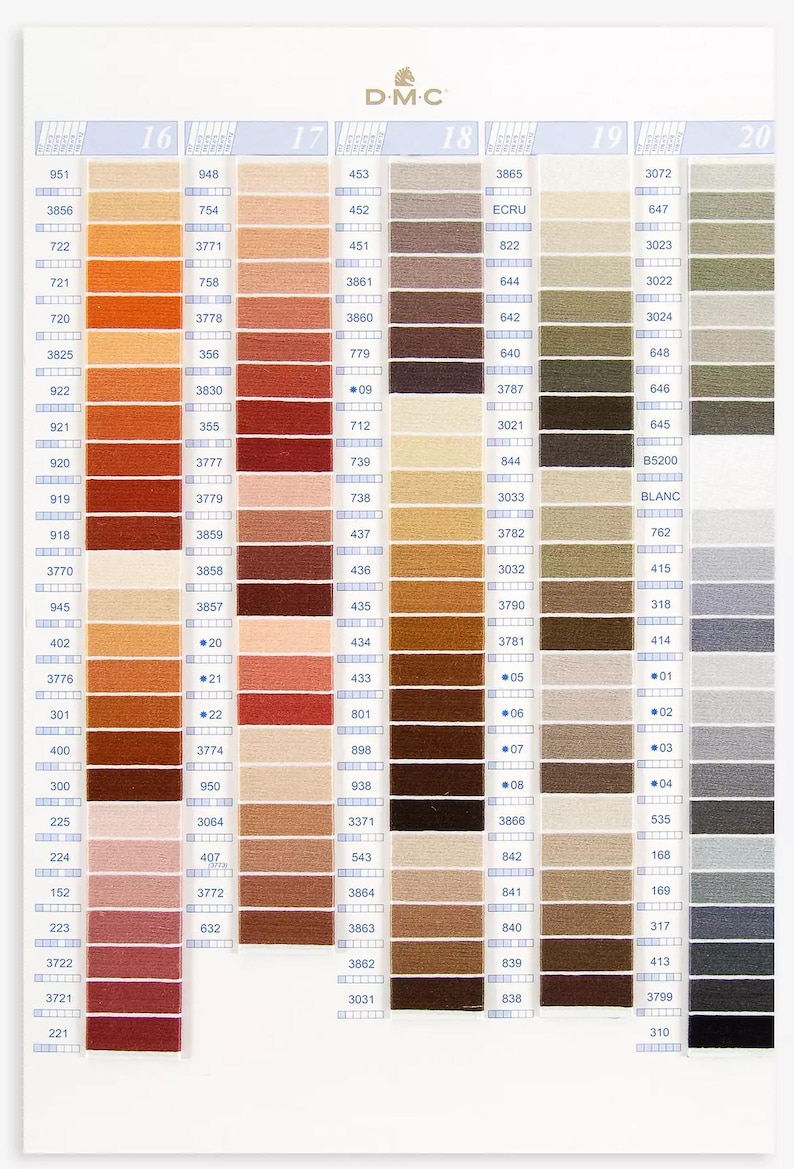 Op de afbeelding: DMC borduurgaren kleurkaart met genummerde garenklossen in verschillende tinten rood, oranje, bruin, beige, grijs en groen. De kaart is gelabeld met de nummers 16 tot en met 20.