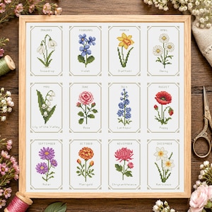 May include: A framed cross-stitch sampler featuring twelve rectangular panels, each displaying a month of the year and its corresponding birth flower, including snowdrop, violet, daffodil, daisy, lily of the valley, rose, larkspur, poppy, aster, marigold, chrysanthemum, and narcissus.