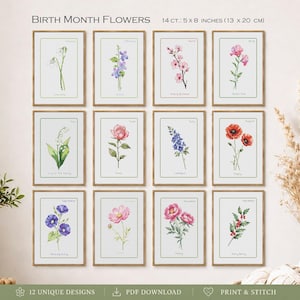 Op de afbeelding: Een set van 12 kruissteekpatronen getiteld Birth Month Flowers, elk 13 bij 20 cm groot. De ontwerpen bevatten individuele bloemillustraties voor elke maand, waaronder sneeuwklokje, viooltje, kersenbloesem, pronkerwt, lelietje-van-dalen, roos, ridderspoor, klaproos, ochtendglorie, cosmos, pioenroos en hulst.