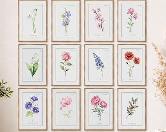 Birth Month Flower Cross Stitch Patterns - Set of 12, Floral Embroidery PDF Download