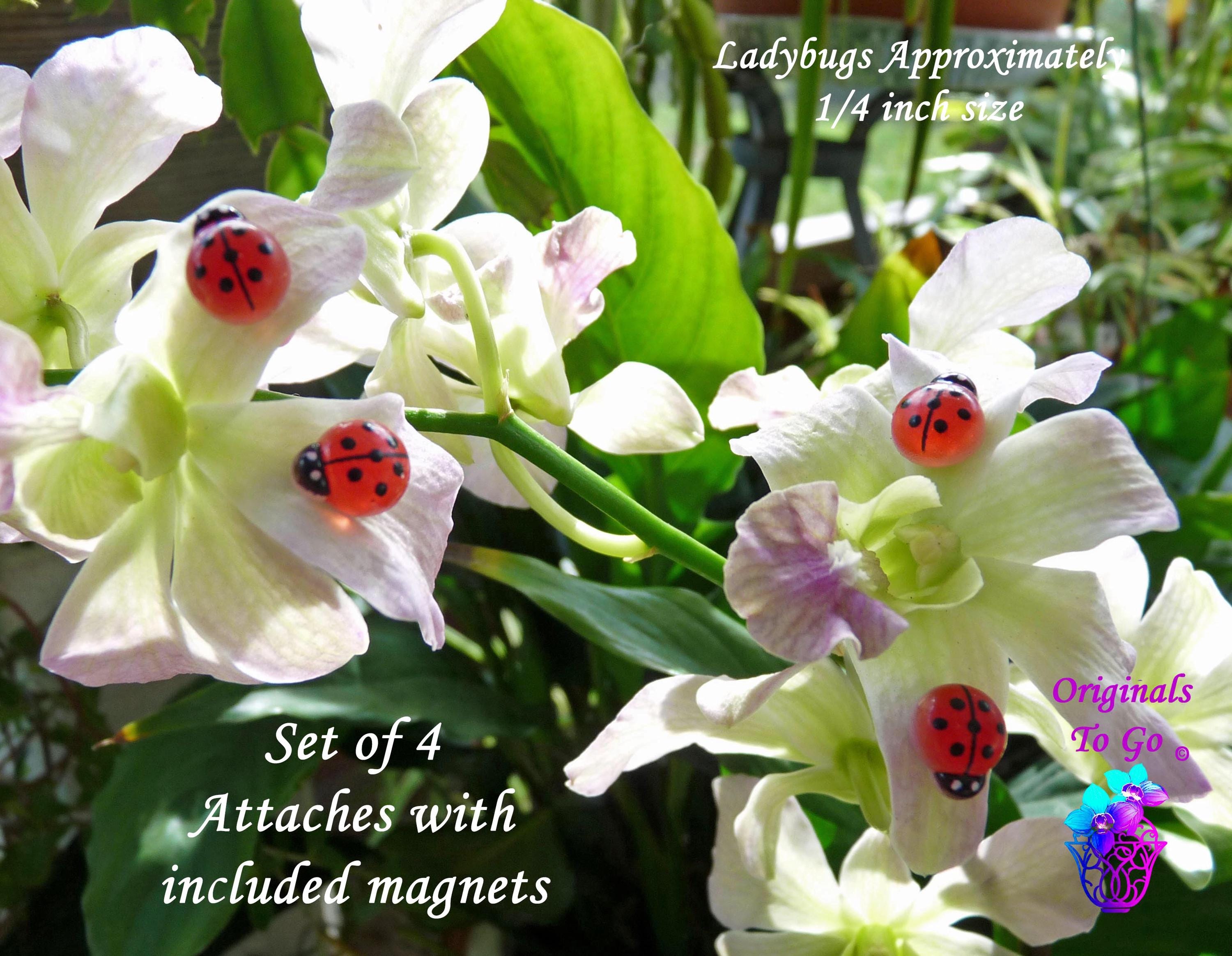 Tiny Resin Ladybug Plant Sitter: Fairy Garden Magnet Pins - Set of 4