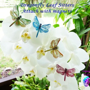 May include: Five colorful dragonfly leaf sitters with magnetic backs. The dragonflies are made of metal and have intricate designs. They are attached to white orchid flowers.