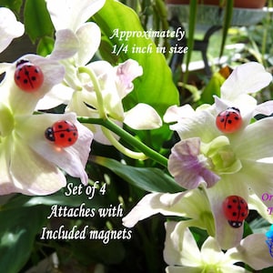 Tiny Resin Ladybug Leaf Sitter: Fairy Garden Magnet Pins - Set of 4