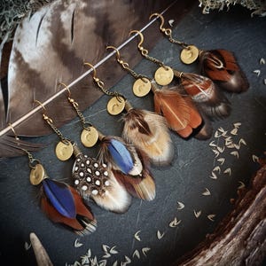 Natural feather earrings, gold piece jewelry, bohemian loop for summer, festival accessory, boho hippie jewelry