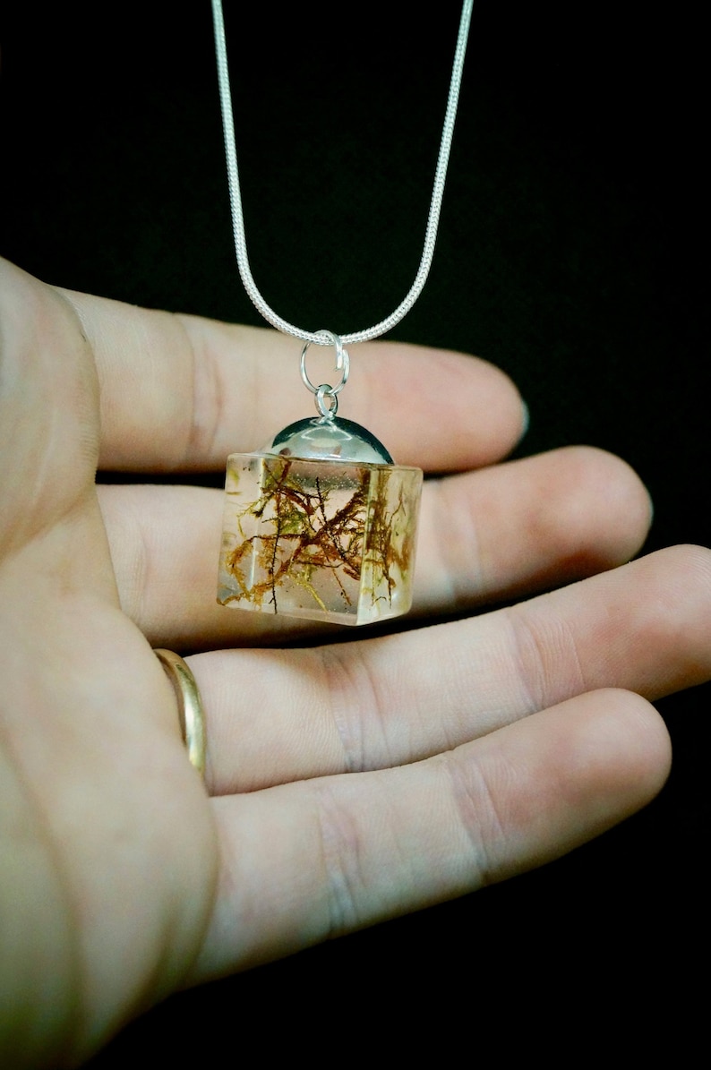 Mothers day Gift Resin Jewellery Moss Cube Resin Pendant Australia Personal Gifts TanahaJane Necklace