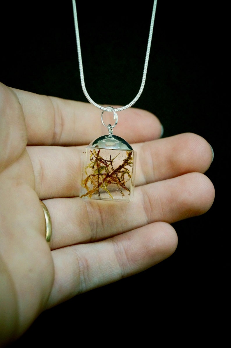 Mothers day Gift Resin Jewellery Moss Cube Resin Pendant Australia Personal Gifts TanahaJane Necklace