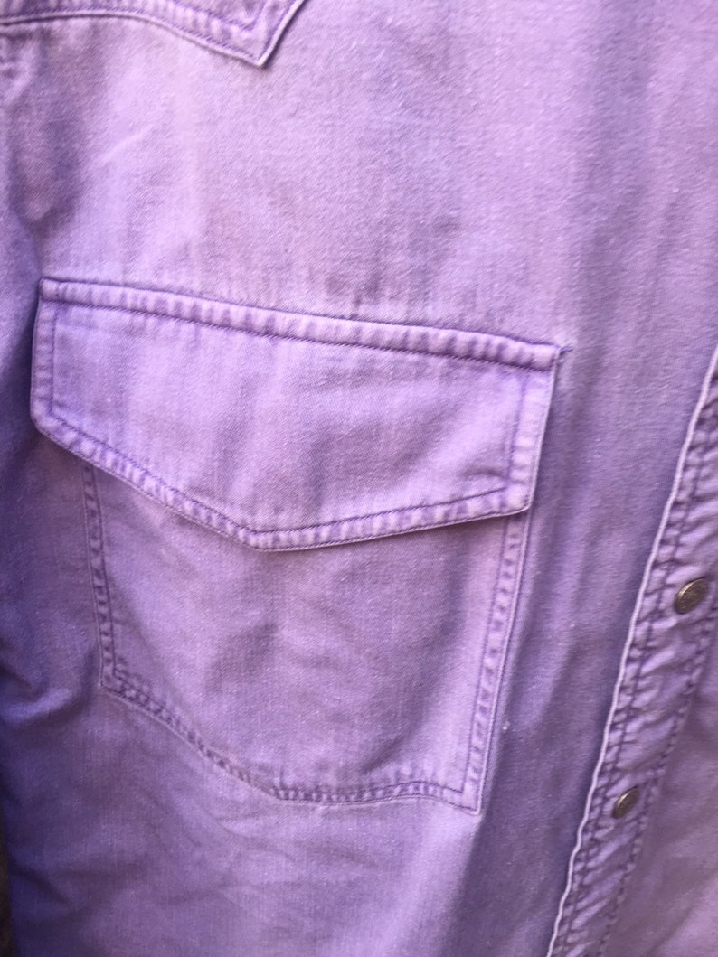 Vintage Lavendar Lucchese Western Shirt