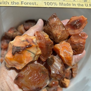 May include: A collection of carnelian rough stones in various shades of orange and red. The stones have a banded pattern and are translucent.