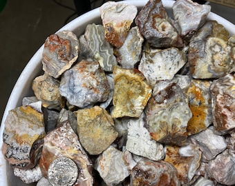 Mexican Crazy Lace Agate Rough 1lb Lapidary Tumble Cabs Cabbing NEW STOCK Jewelry Tumbling