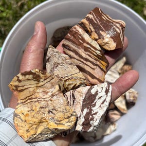 May include: A handful of raw, natural stones with a striped pattern in shades of brown, tan, and white. The stones have a rough texture and varying shapes, suggesting they are unpolished specimens. The image is taken in natural light, highlighting the colors and details of the rocks.
