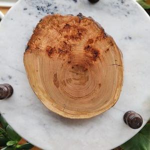 May include: A natural wood slice with visible growth rings and a textured surface, resting on a white marble surface. Dark brown decorative knobs are placed around the marble. The wood slice is a light brown colour.