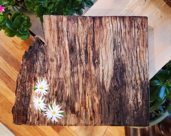 Hand Painted Daisy Trio Trivet Potholder