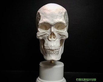 Anatomical Skull 1/3rd scale unpainted resin skull with base
