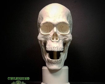 Anatomical Skull with posable lower jaw 1/3rd scale resin skull with base unpainted resin casting.