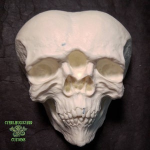 Conjoined skulls version 4   1/3rd scale relief unpainted resin casting.