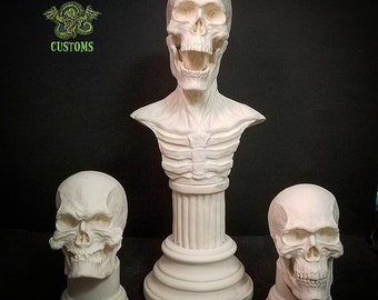 Deluxe Anatomical Skeletal sculpting bust 1/3rd scale unpainted resin model kit