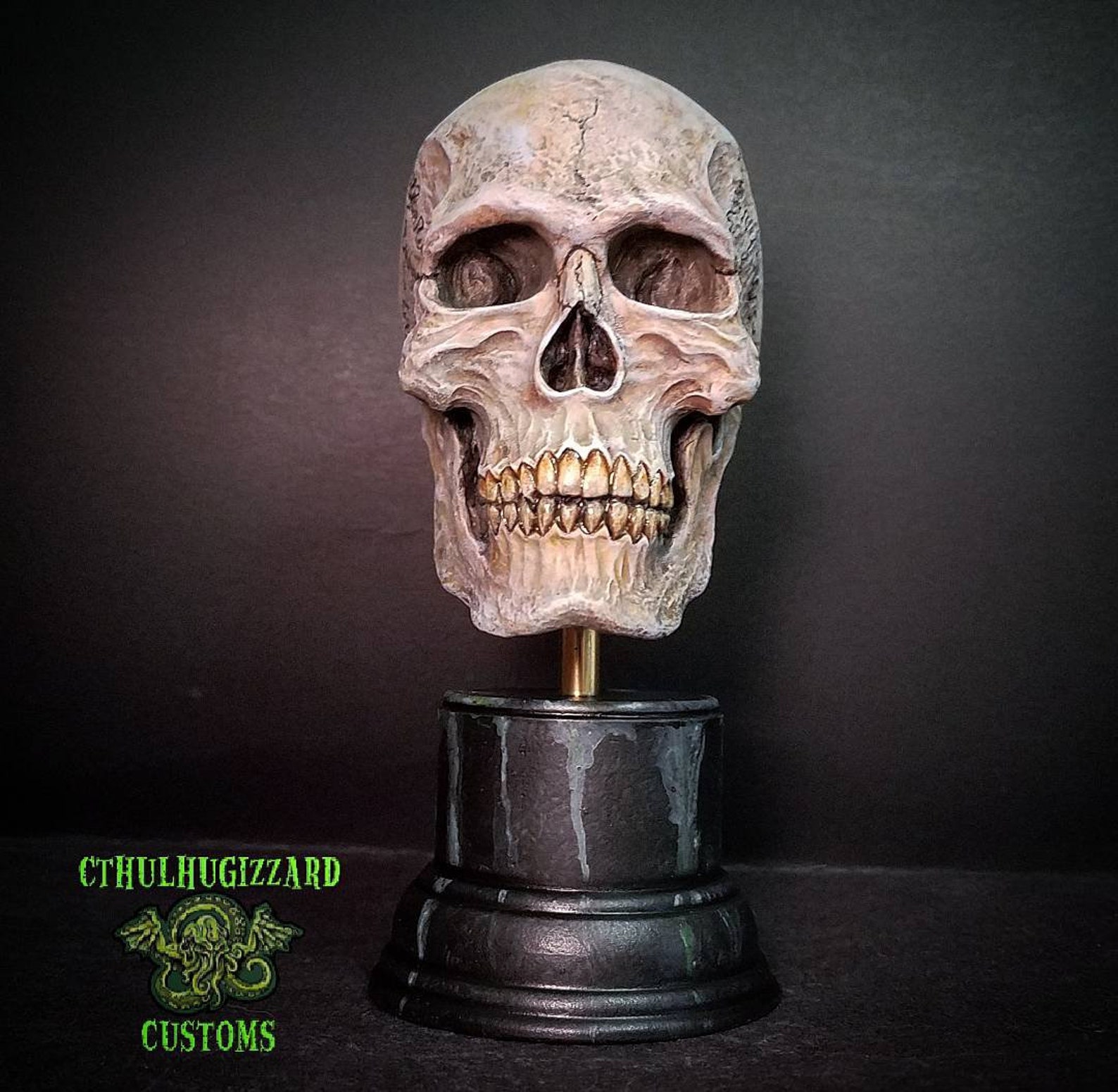 Anatomical Skull 1/3rd Scale bust hand painted | Etsy