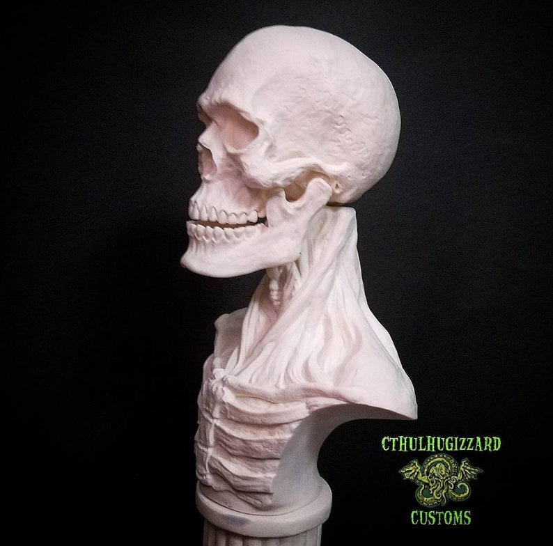 Anatomical Skeletal sculpting bust 13rd scale unpainted resin model kit