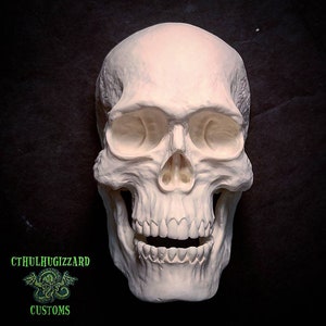 May include: A white plaster human skull with detailed features, including teeth, eye sockets, and a prominent nose. The skull is positioned against a dark background.