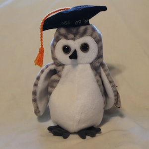 May include: A gray and white owl plush toy wearing a black graduation cap with an orange tassel. The cap has the text "Class of '94" on it.