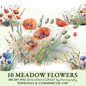 Bundle de cliparts aquarelle coquelicots Png, fleurs de prairie printanière fleurs de centaurée bleue délicates Cottagecore, coquelicots rouges Scrapbooking numérique