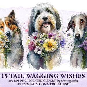Aquarel verjaardag hond clipart bundel PNG rassen Engelse Franse Bulldog Corgi puppy Chihuahua Schotse Yorkshire Airedale Terriër Schnauzer