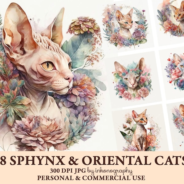 Watercolor Sphynx Cat Clipart Bundle, Floral Cat Jpg, Sphynx Illustration Cornish Rex, Devon Rex, Oriental Shorthair, Egyptian Mau Cat Art